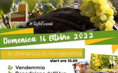 FESTA DELLA VENDEMMIA-TUFO