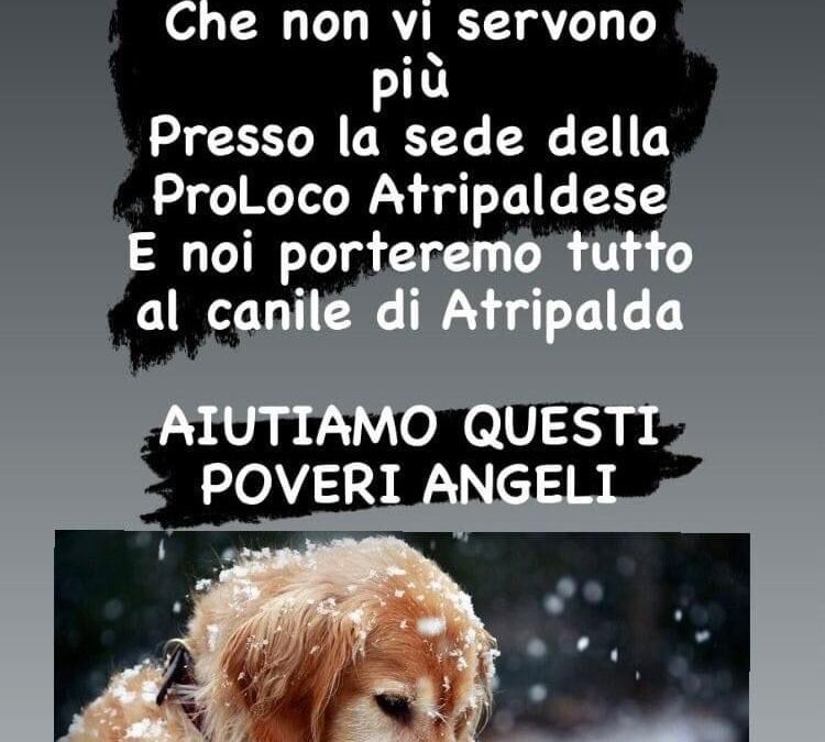 RACCOLTA PLAID E PILE PER IL CANILE – PRO LOCO ATRIPALDESE