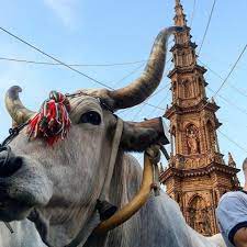 La gloriosa ripartenza dei carri: si punta all’Unesco.